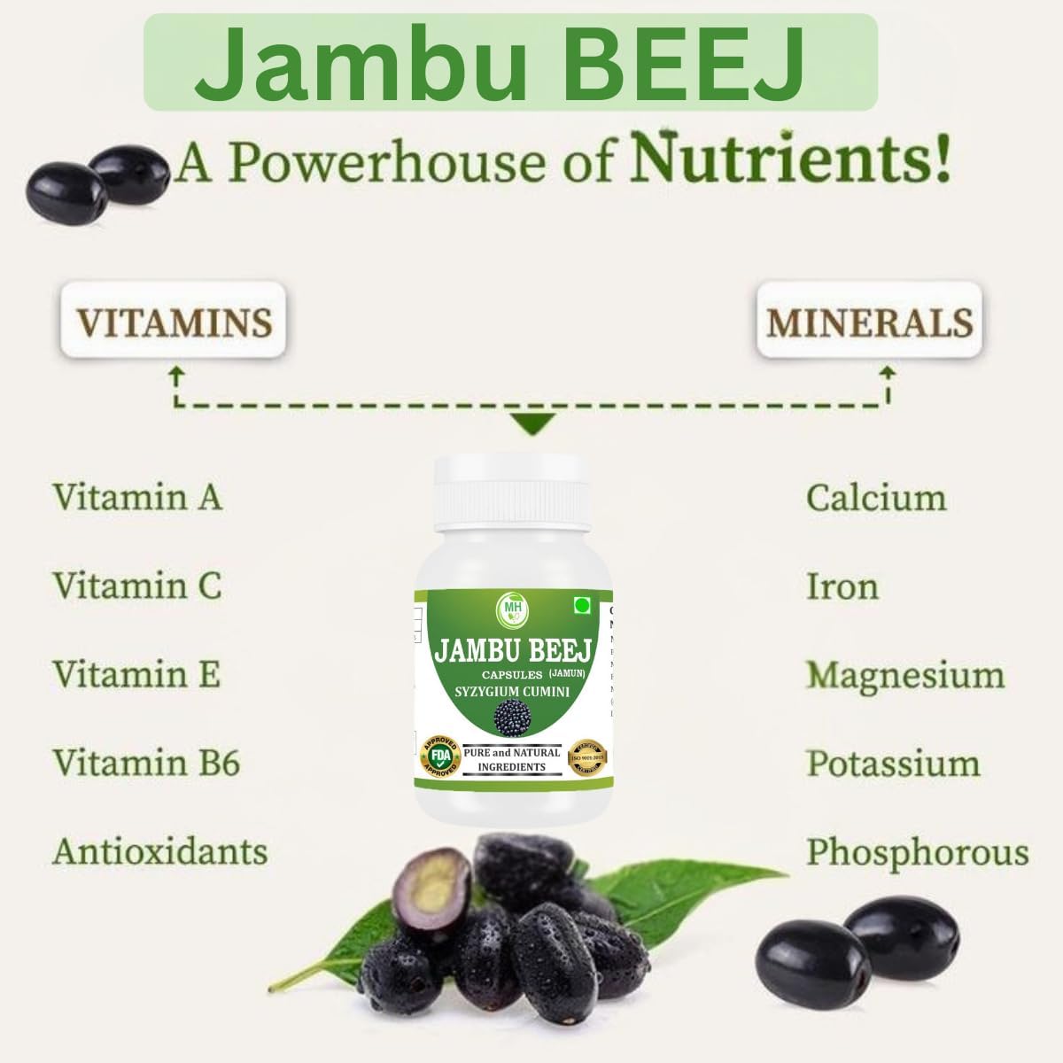 Morsan's Jambu Beej Cápsulas, Pack de 2 x 60 x 500 mg. Cápsulas Vegetales, Puras y Naturales