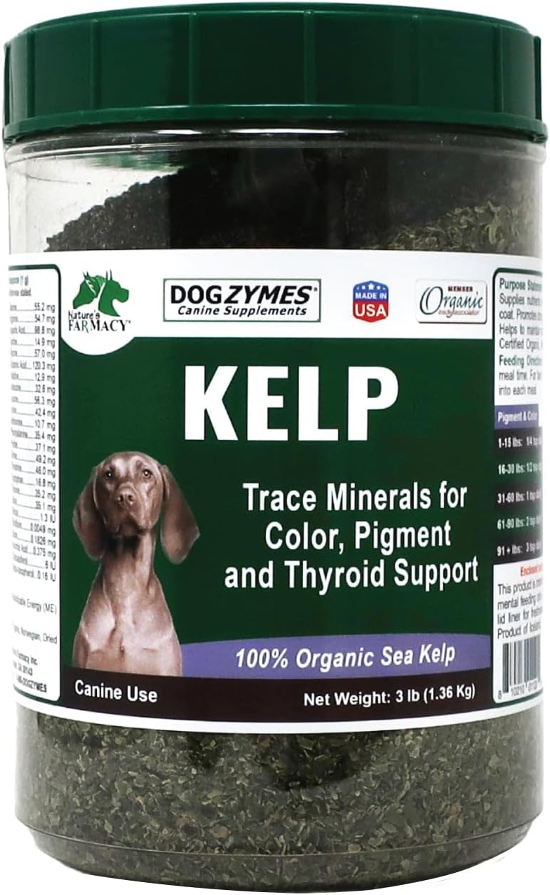 Dogzymes Alga Noruega Orgánica para Perros - 340 g