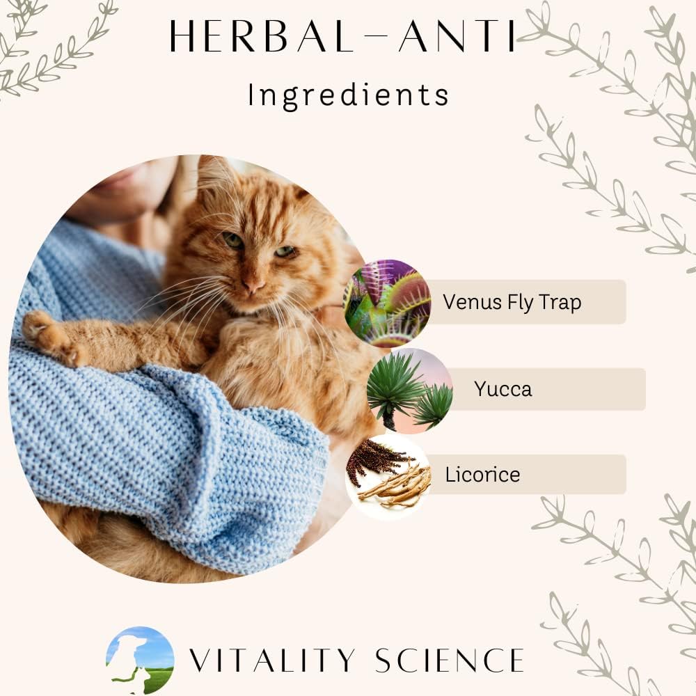 Vitality Science Advanced Immune Restoration Suplemento para Perros – Protocolo de Regeneración Intensa – Ayuda para el Alivio del Dolor (Tamaño Mediano)