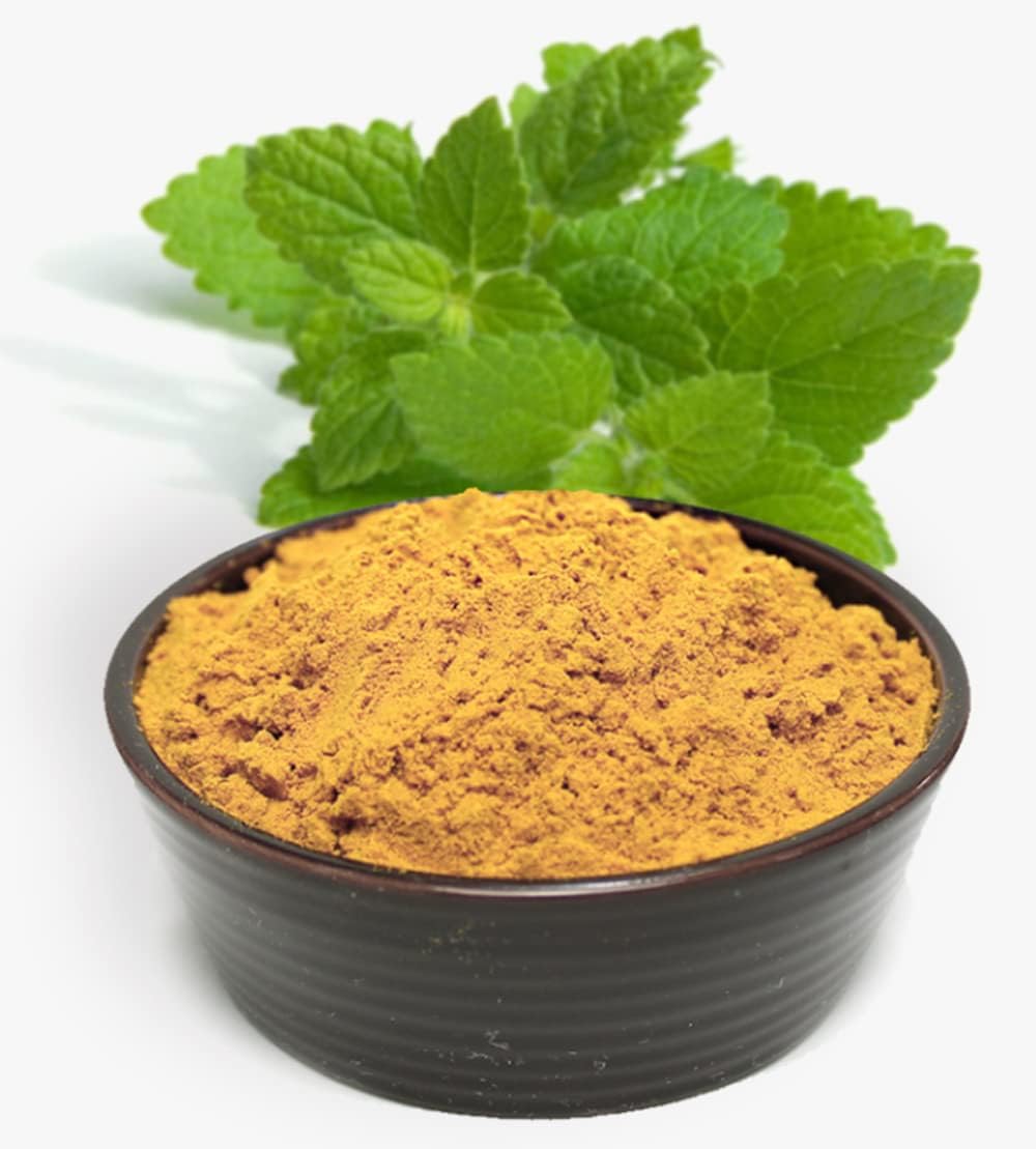 Organic Natural Pure 1.1LB Lemon Balm Extract Powder - 1.1 Pound (500 gramos)