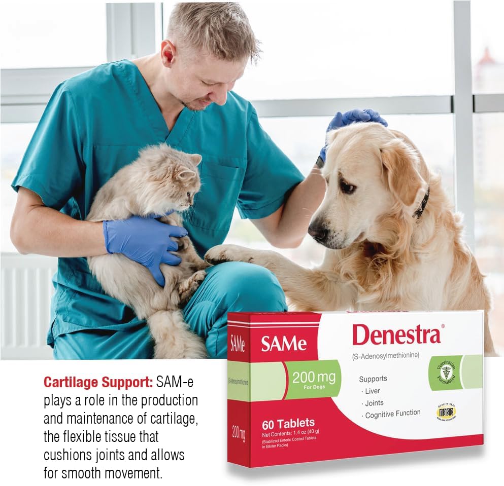 Denestra Same para Perros – S-Adenosil-L-Metionina (SAMe) 200 mg, 60 comprimidos