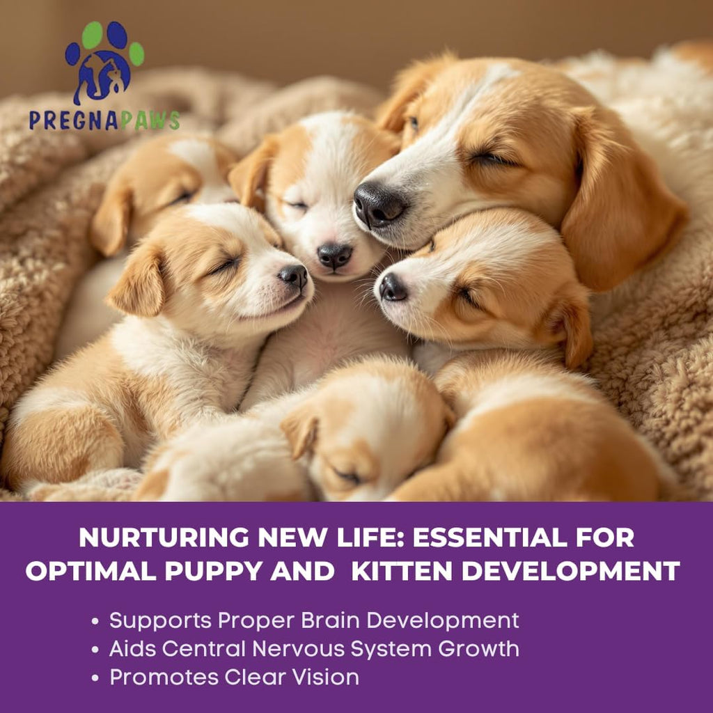 MaternityMax Vitaminas Prenatales para Perros y Gatos - Suplemento Pre y Postnatal con Probióticos, Glucosamina, MSM, CoQ10 y Vitaminas Esenciales - 90 Chews Blandos Sabor Salmón