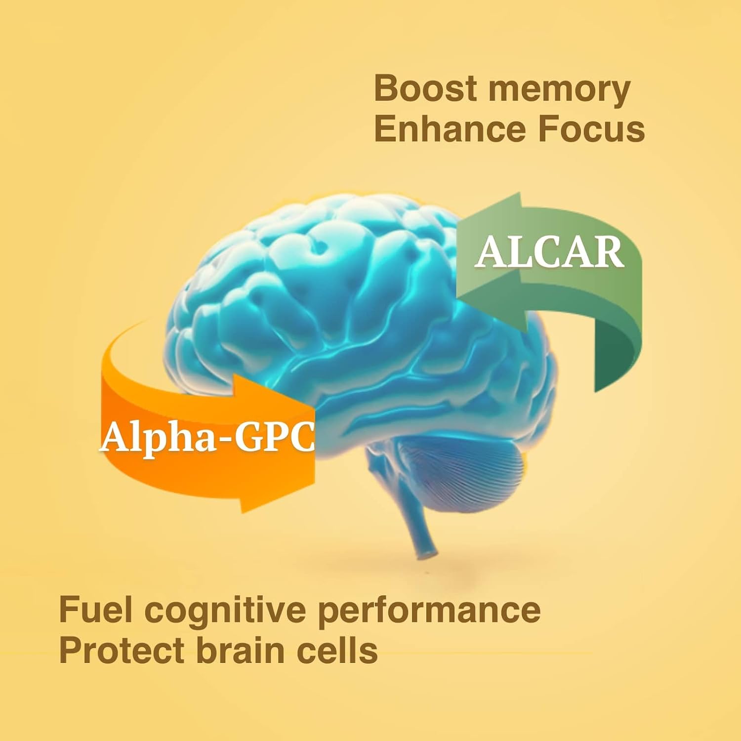 OPTINOURISH Suplemento Cerebral para Memoria y Enfoque – Nootrópico para Adultos, 120 Cápsulas