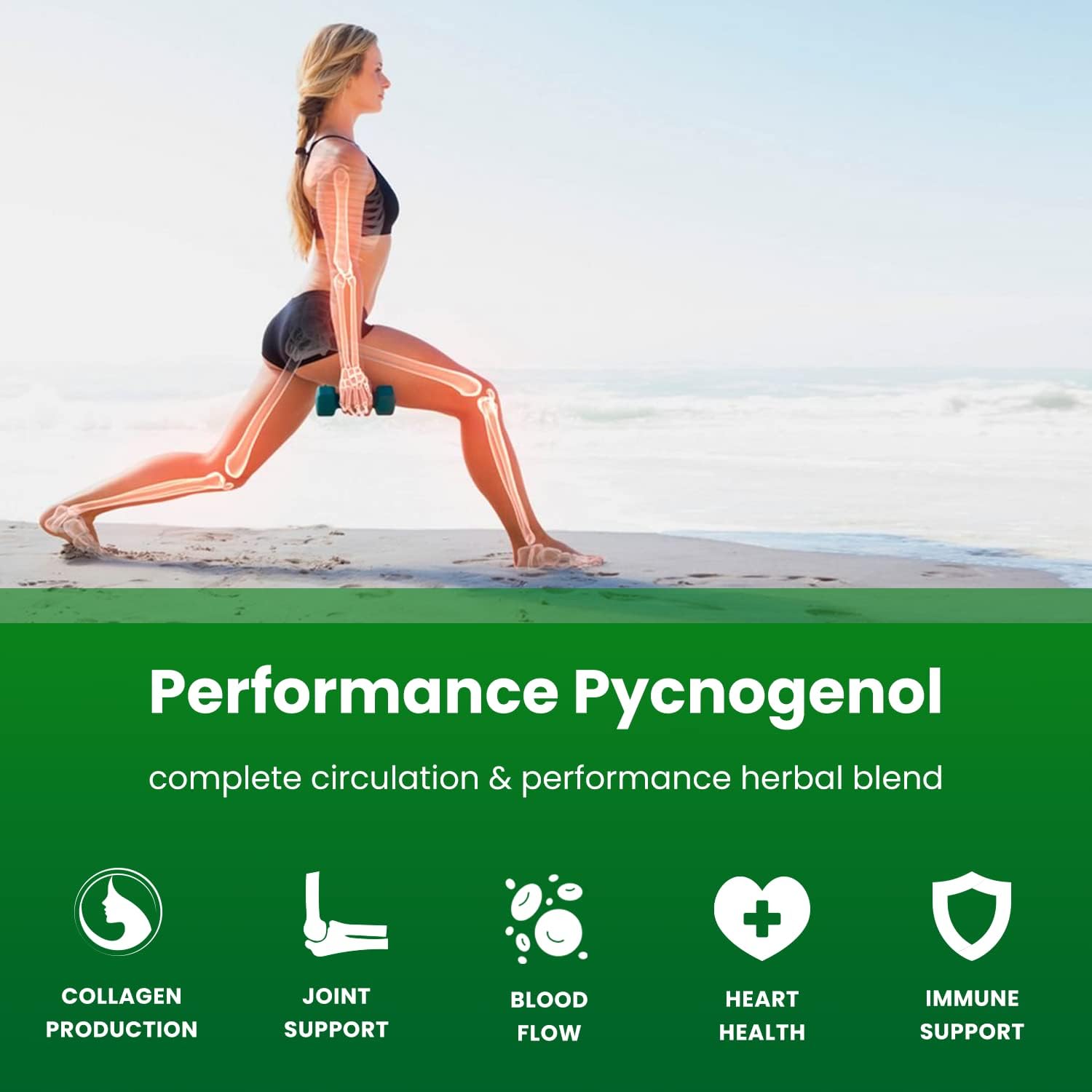 NutraChamps Pycnogenol® Extracto de Corteza de Pino Marítimo Francés, 60 Cápsulas con Pimienta Negra