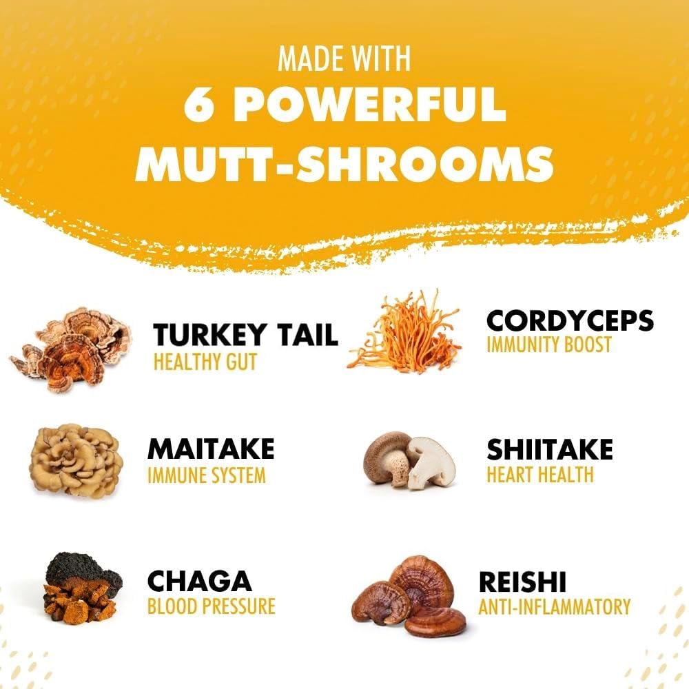 iHeartDogs Turkey Tail Mushroom para Perros - Polvo con Caldo de Huesos y Mezcla de 6 Hongos