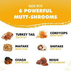 iHeartDogs Turkey Tail Mushroom para Perros - Polvo con Caldo de Huesos y Mezcla de 6 Hongos