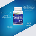 Healthy HDL - Suplemento de Colesterol para Niveles Saludables de HDL - 100% Herbal y Natural