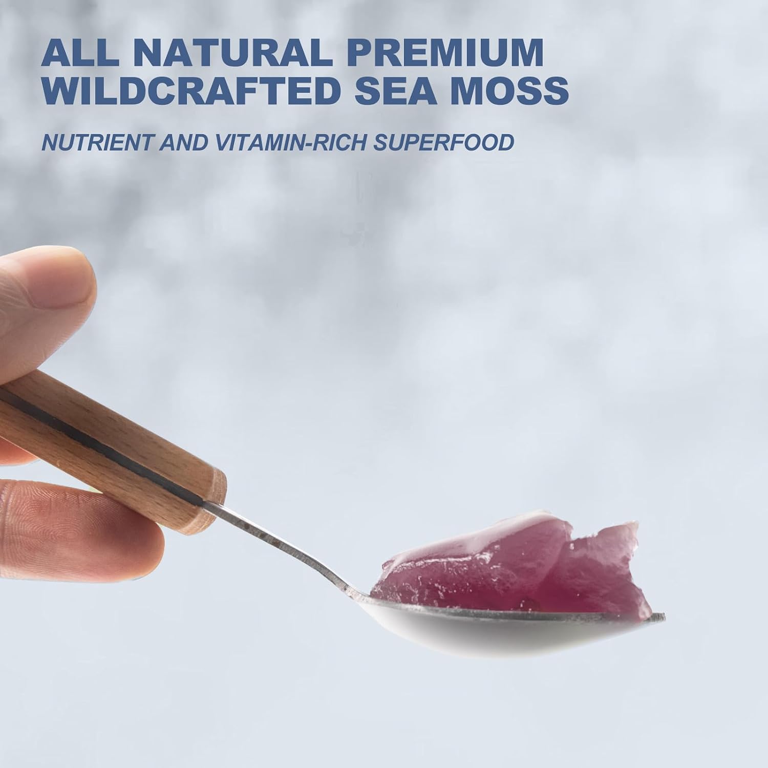 SumDIP Sea Moss Gel de Arándanos Azules - 18.5oz (524g) - Suplemento Natural de Vitaminas y Minerales