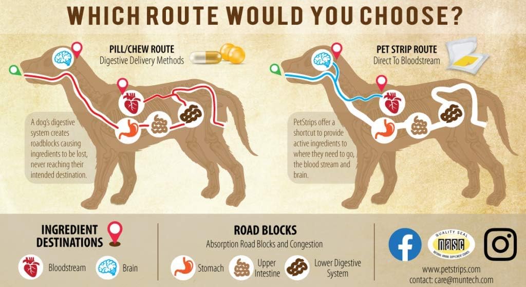 PetStrips Multivitamínico para Cachorros 30 Tiras de Acción Rápida