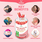 OALSE Gominolas de Sea Moss 8 en 1 - 1800mg Musgo Marino, Clorofila, Vitamina C, D3 y Zinc