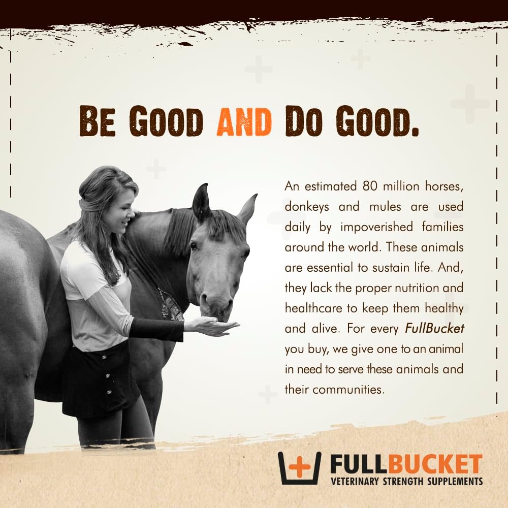 FullBucket Probiótico Diario para Perros - 150 Servicios - Polvo con Probióticos, Prebióticos y Enzimas Digestivas