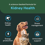 Vetriscience Veterinary Strength Kidney Health Chews – Apoyo renal equilibrado para mascotas – 60 masticables con sabor a hígado de pollo