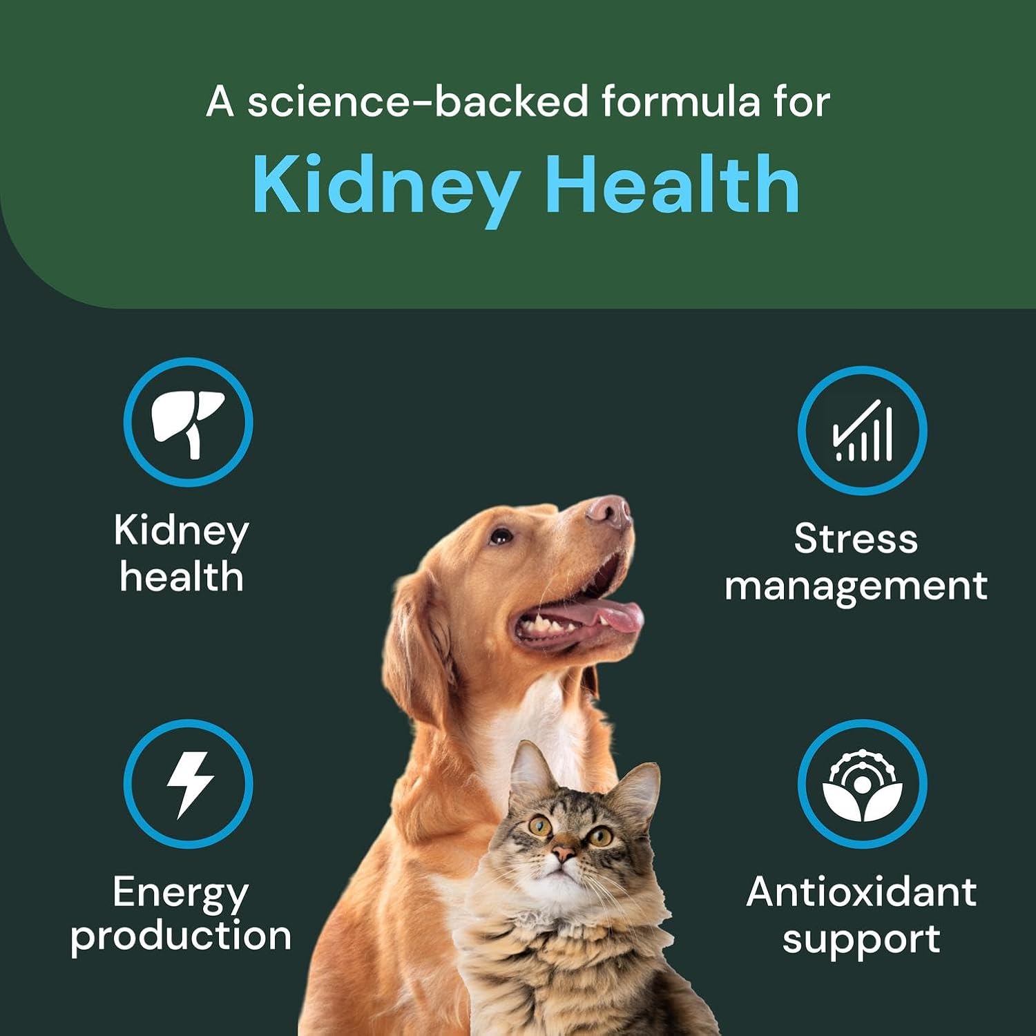 Vetriscience Veterinary Strength Kidney Health Chews – Apoyo renal equilibrado para mascotas – 60 masticables con sabor a hígado de pollo
