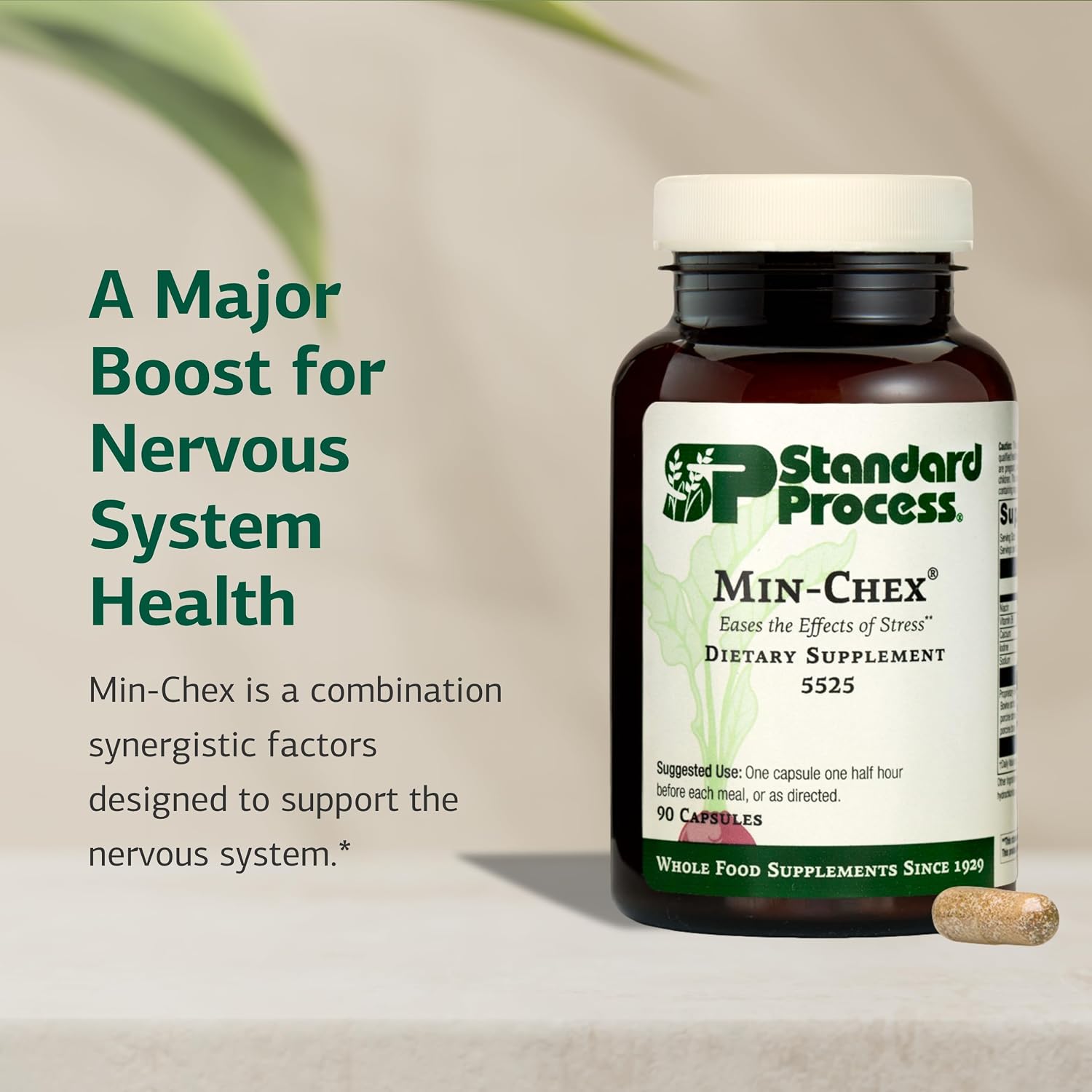 Standard Process Min-Chex - Complemento para el Sistema Nervioso - 90 Cápsulas