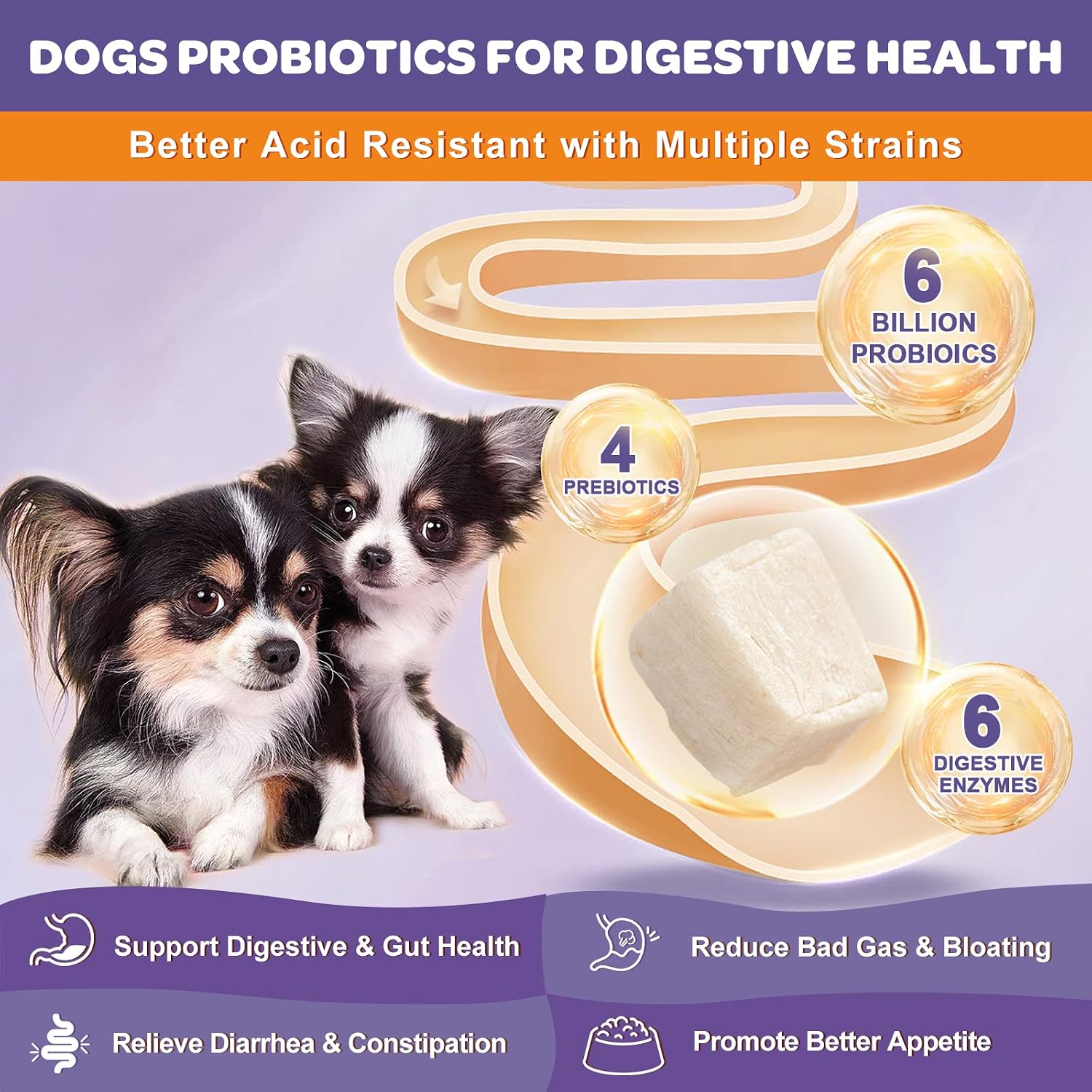 NATURE TARGET Probióticos para Perros, 6B UFC, Liofilizados, con Prebióticos y Enzimas, Omega 3, 120 Masticables