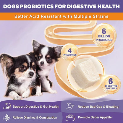 NATURE TARGET Probióticos para Perros, 6B – Sistema inmunitario: Alrededor del 70% del sistema inmunitario se – Image 2