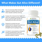 Holistic Health Labs Gut Alive - Apoyo Natural contra el Ardor, Indigestión e Hinchazón (60 Cápsulas)