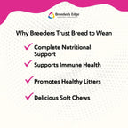 Breeder's Edge Breed to Wean – Multivitamínico prenatal y postnatal para perros y gatos (400 comprimidos)