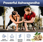 Suplemento 25-en-1 de Musgo de Mar, Aceite de Semilla Negra, Ashwagandha, Jengibre y Shilajit - 120 Cápsulas Veganas