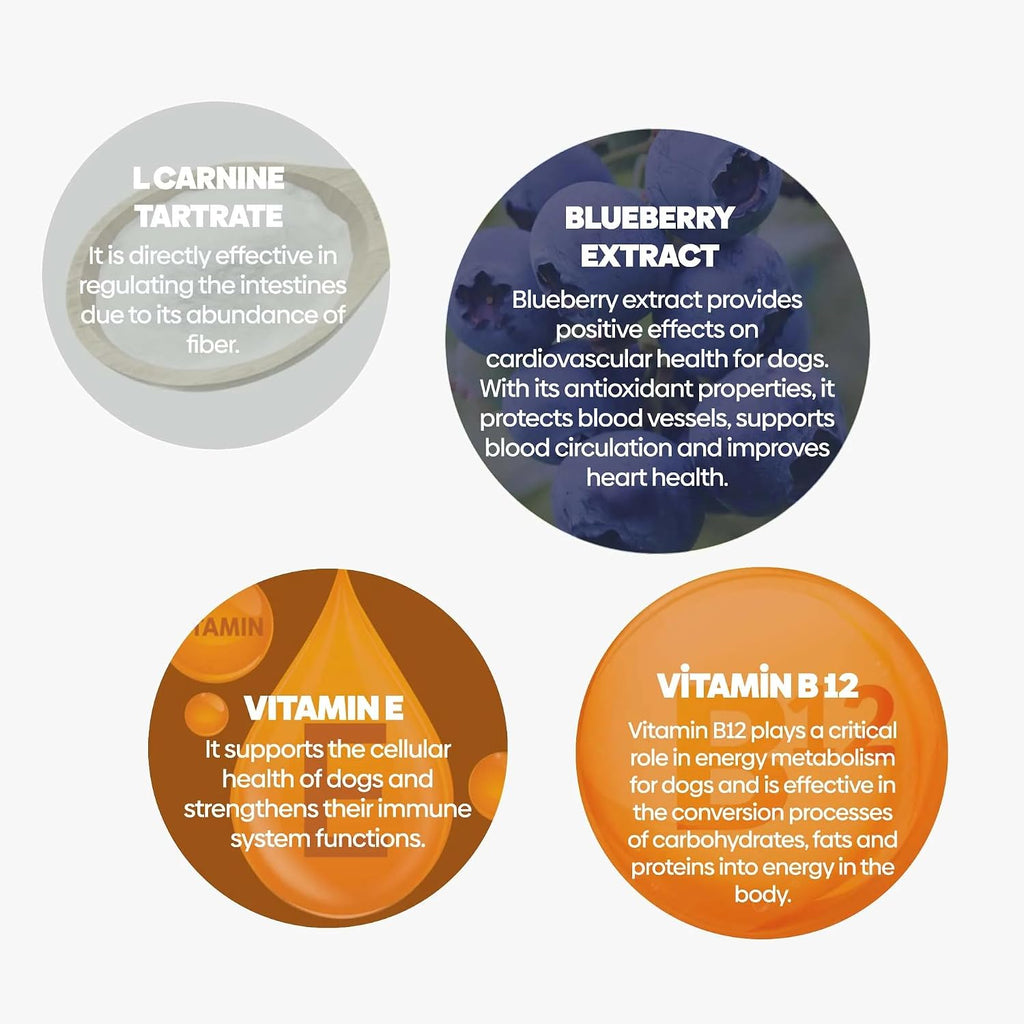 HiPet Multivitamin Bites - Suplemento vitamínico para perros (Pack de 6)