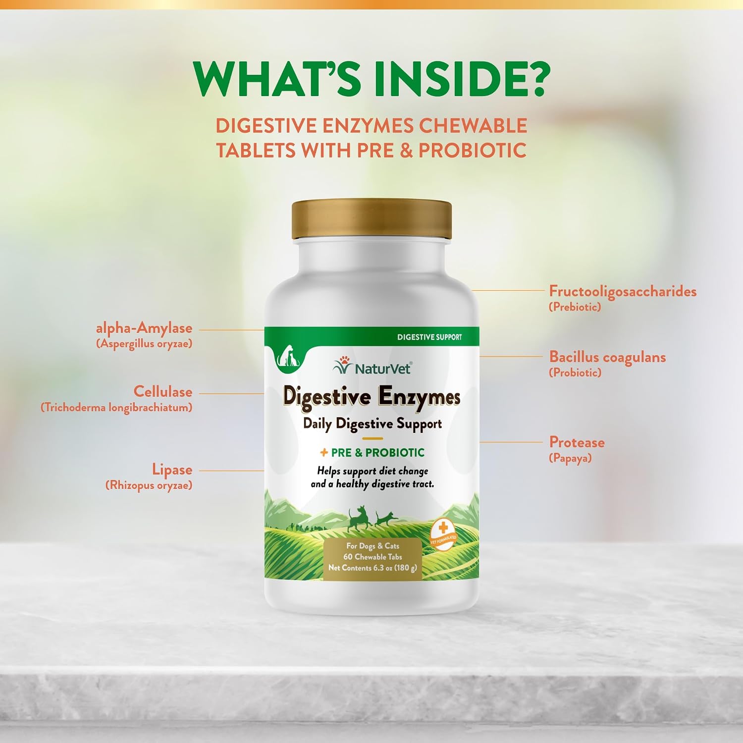 NaturVet – Enzimas Digestivas con Probióticos y Prebióticos para Perros y Gatos (60 Comprimidos Masticables)