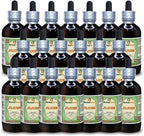 Jujube (Ziziphus Jujuba) Glicerito - Extracto Líquido Sin Alcohol - 5x60 ml
