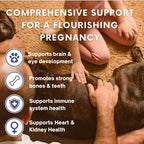 Omega 3 Fish Oil for Dogs & Cats | Joint Support | Brain & Heart Health | Pure EPA DHA | 100 Soft Gels