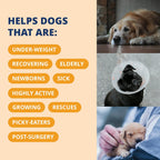 Under the Weather Ready Cal Plus Gel para Perros - Suplemento de Alto Contenido Calórico con Electrolitos (99g)