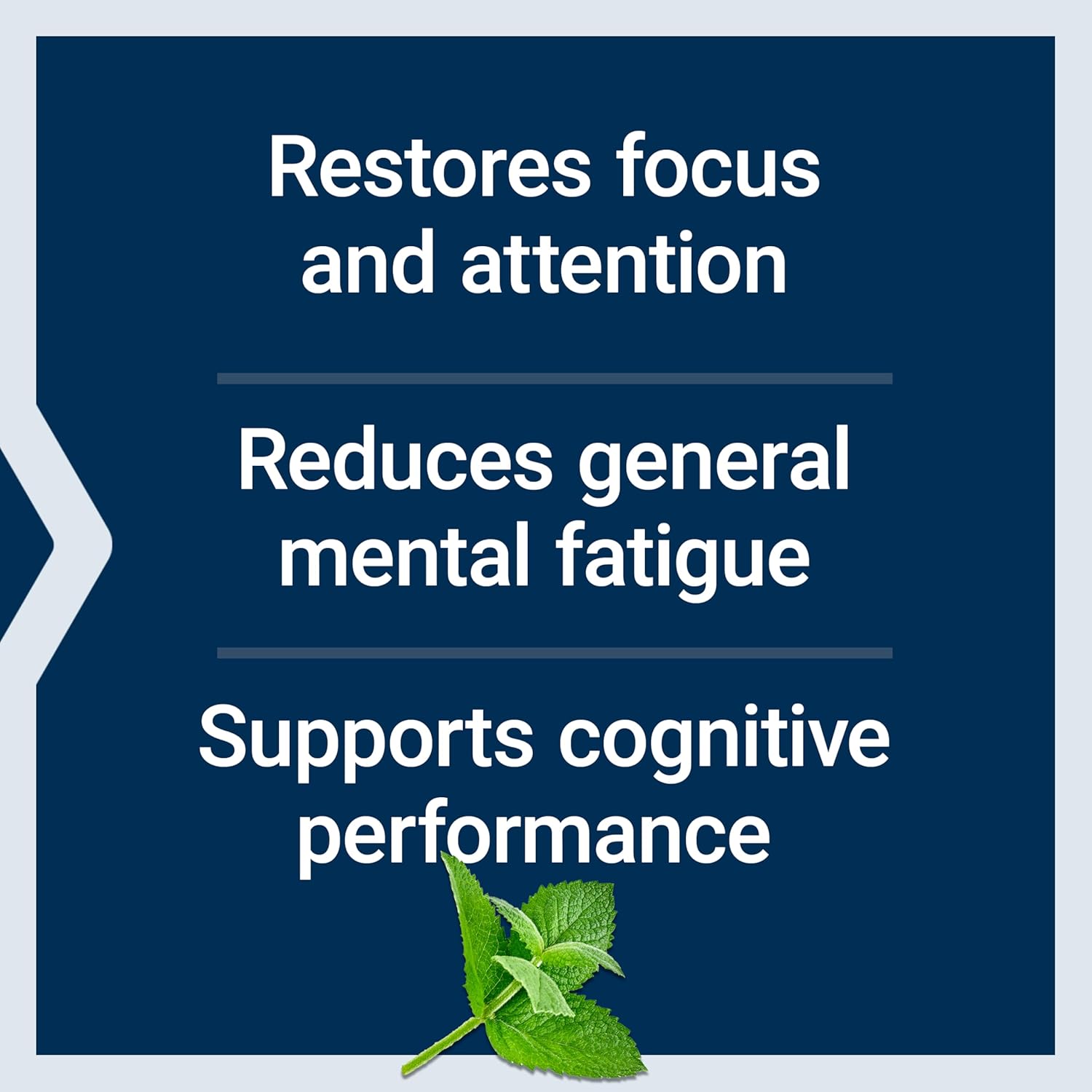 Life Extension Brain Fog Relief - Extracto de Hoja de Mango y Aceite de Menta - 30 Cápsulas Blandas