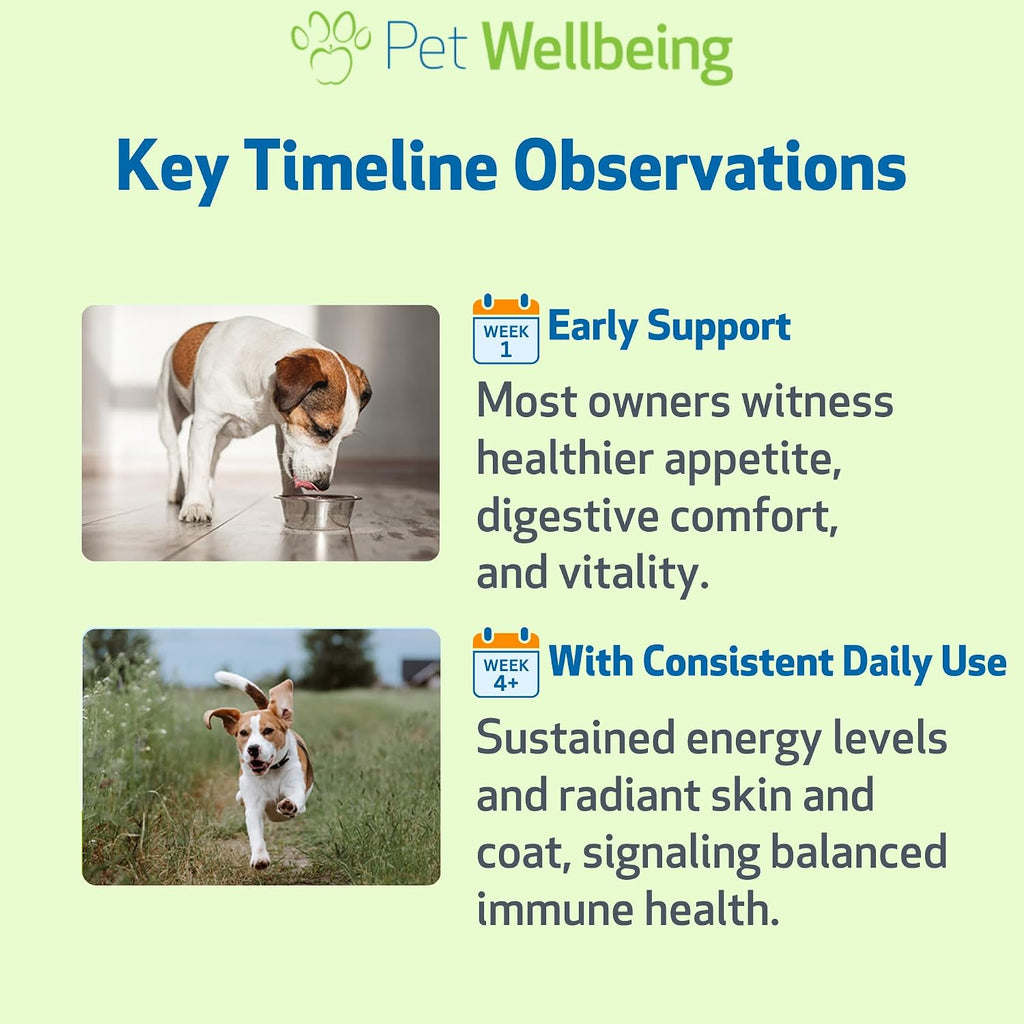 Pet Wellbeing Mushroom Immune Gold para Perros - Apoyo Inmunológico Complementario con Hongos Funcionales Reishi, Maitake y Cola de Pavo - Certificado NASC y Formulado por Veterinarios - 236 ml Fórmula Líquida
