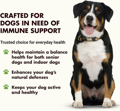 Apoyo Inmunológico para Perros – Protección – Ingredientes de calidad: Opta por fórmulas con ingredientes – Image 2