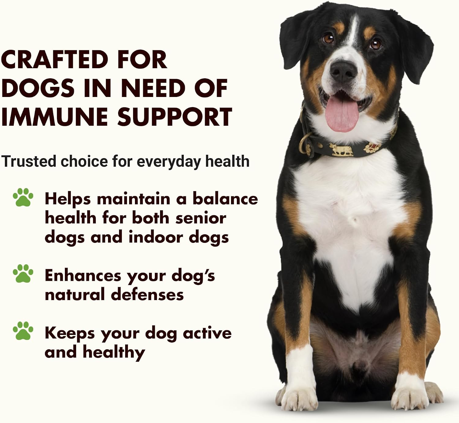 Apoyo Inmunológico para Perros – Protección Antioxidante y Salud Intestinal – Inulina, Beta-Glucano y Omega-3 / Aceite de Pescado y Más! - Hecho para Perros Exigentes