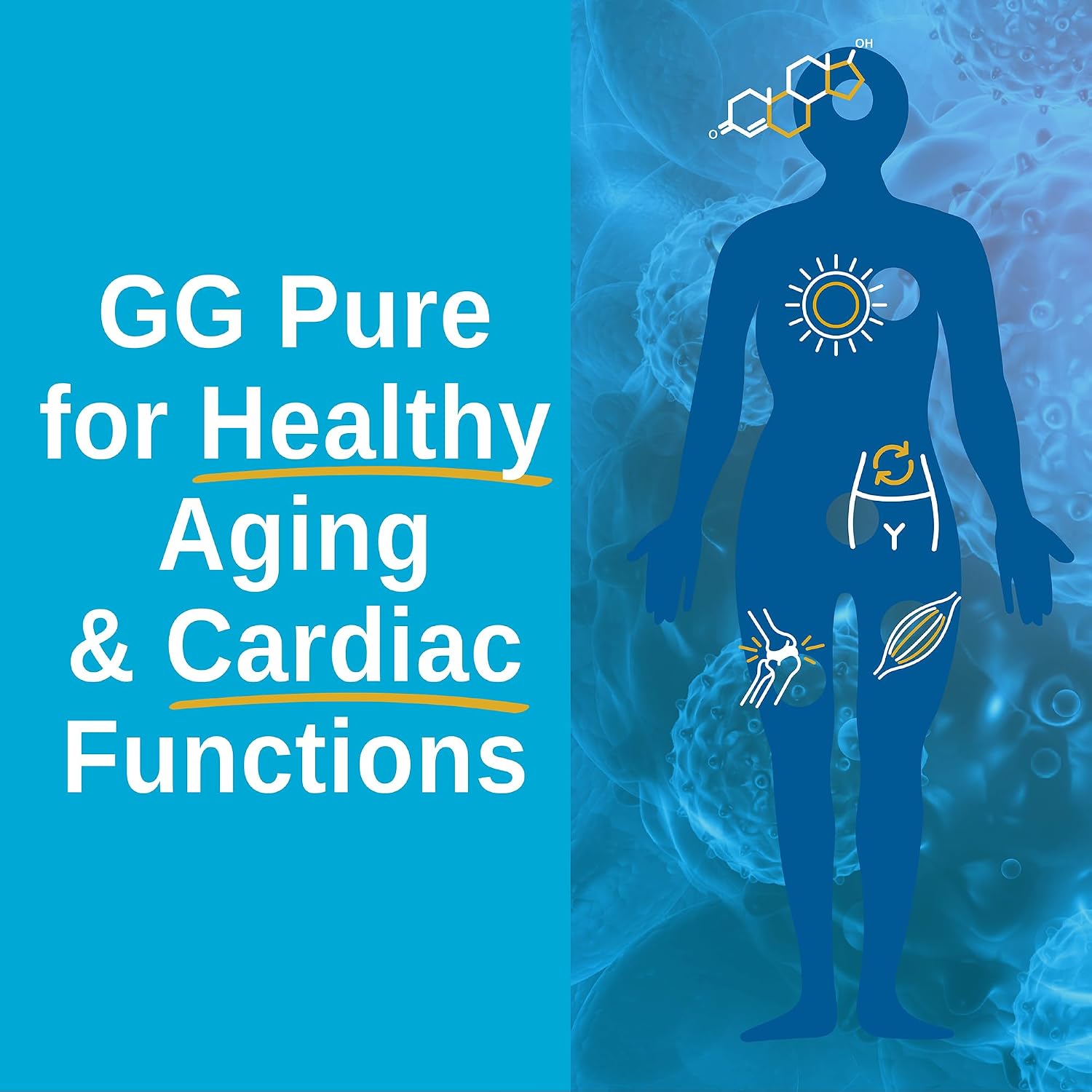 Xtendlife GG Pure – Geranylgeraniol 150mg – Apoyo para Usuarios de Estatinas, 30 Cápsulas