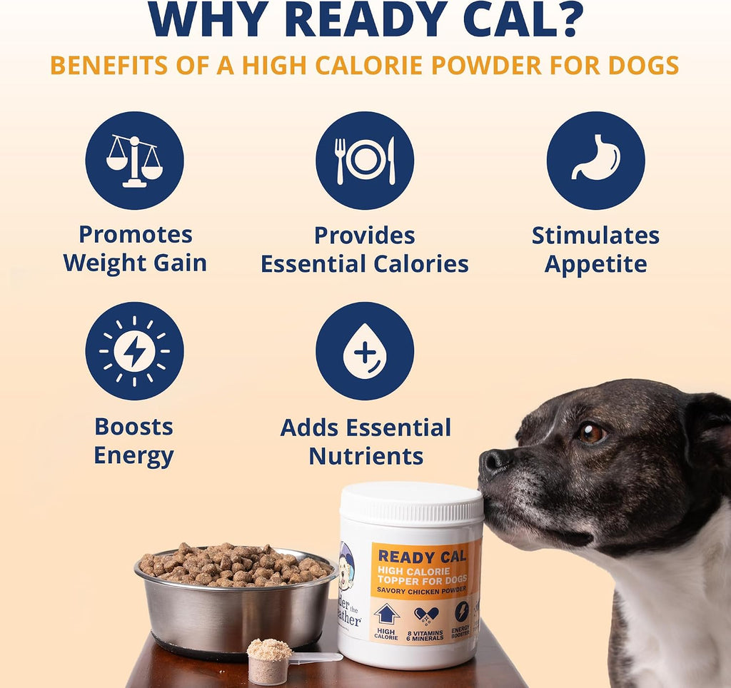 Under the Weather Ready Cal Powder para Perros - Complemento para Ganar Peso y Estimulante del Apetito, Sabor a Pollo, 300 g