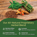 Kerala Ayurveda Histantin (100 Comprimidos)