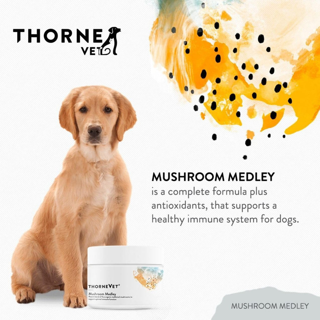 ThorneVet Mushroom Medley para Perros - Apoyo Inmunológico y Antioxidantes - con Reishi, Cola de Pavo, Cordyceps, Maitake y Chaga - Apoyo para Perros en Tratamiento contra el Cáncer - 120 Dosis