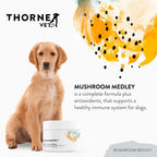 ThorneVet Mushroom Medley para Perros - Apoyo Inmunológico y Antioxidantes - con Reishi, Cola de Pavo, Cordyceps, Maitake y Chaga - Apoyo para Perros en Tratamiento contra el Cáncer - 120 Dosis