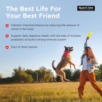 Nutri-Vet Probiotics for Dogs - 60 Capsules for Digestive and Immune Health