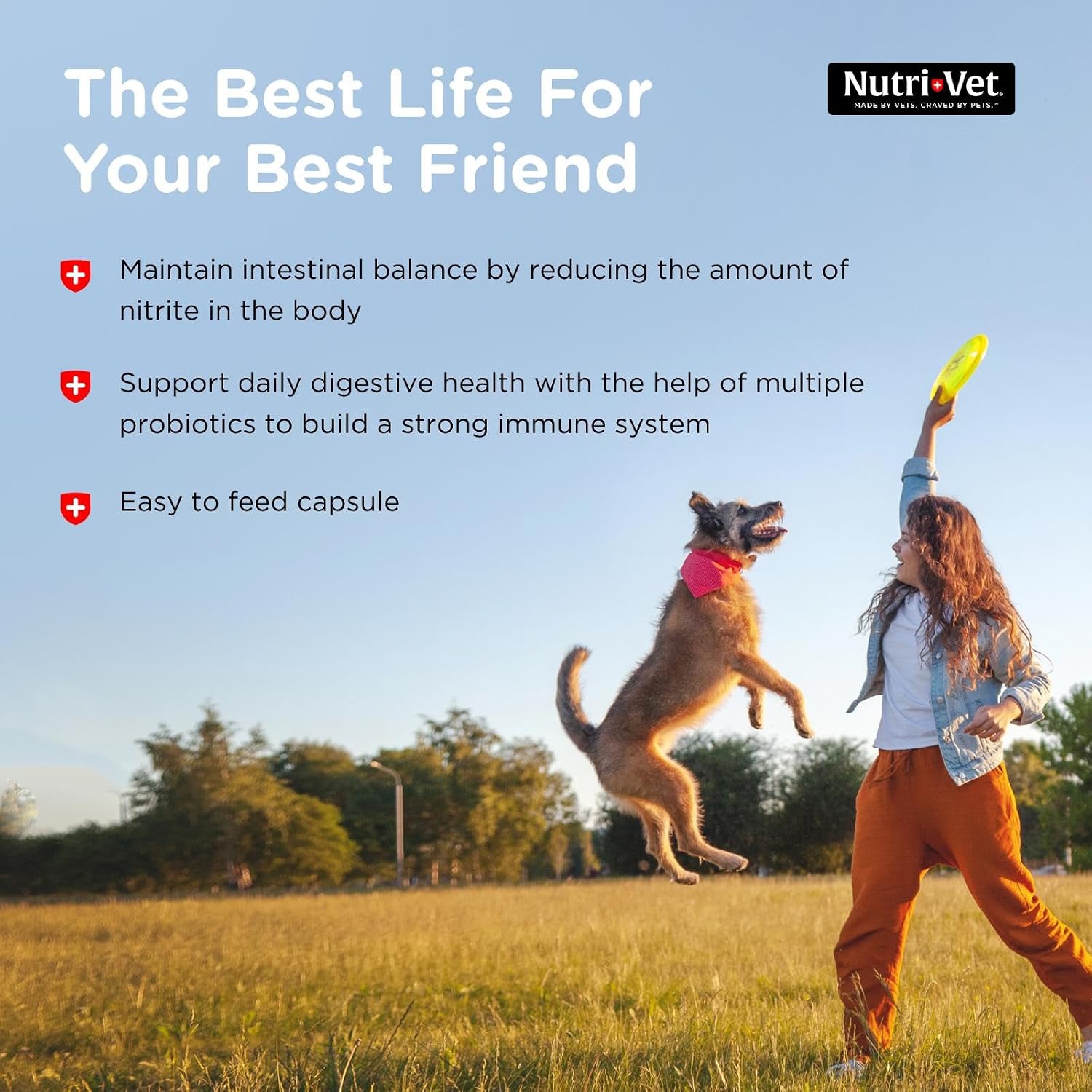 Nutri-Vet Probiotics for Dogs - 60 Capsules for Digestive and Immune Health