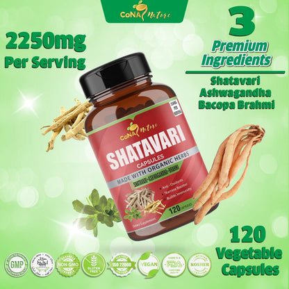 Cona Nature Organic Shatavari Powder – Brahmi en polvo (150 mg por porción): Planta entera de Bacopa monnieri , – Image 6