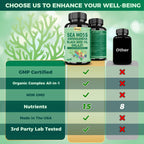 Grevol Sea Moss, Ashwagandha y Shilajit - Cápsulas 15 en 1 (60 uds)