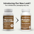 Herbsforever Mucuna Pruriens (Frijol Terciopelo) Extracto Extra Fuerte 15:1 - 60 Cápsulas Veganas