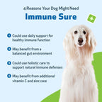 Pet Wellbeing Immune Sure para Perros - Apoya las Defensas Inmunitarias Normales, Equilibrio de la Flora Intestinal, Andrographis, Echinacea, Vitamina C, Zinc - Suplemento Herbario Formulado por Veterinarios 118 ml