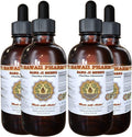 Tintura de Sang Ji Sheng – Extracto Líquido de Tallo de Sang Ji Sheng (Taxillus Chinensis) – Suplemento Herbal 4x4 fl oz (4×118 ml)