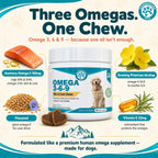 Wanderfound Pets Omega 3 para Perros - Aceite de Pescado para Piel y Pelaje, 60 Masticables