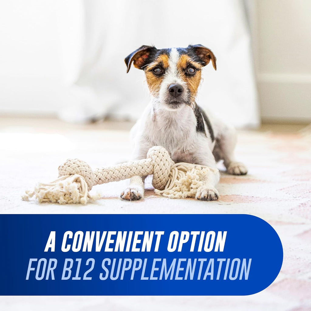 Nutramax Cobalequin B12 para Perros y Gatos, Suplemento Oral de Cobalamina con Folato, Vitamina B12 para Perros Menos de 10 kg y Gatos, Apoya la Salud Gastrointestinal, Comprimidos Masticables, 45 Unidades