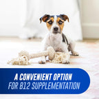 Nutramax Cobalequin B12 para Perros y Gatos, Suplemento Oral de Cobalamina con Folato, Vitamina B12 para Perros Menos de 10 kg y Gatos, Apoya la Salud Gastrointestinal, Comprimidos Masticables, 45 Unidades