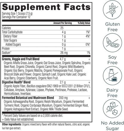 Ancient Nutrition SuperGreens en Polvo con – Verduras de hoja verde: como col rizada y espinacas, ricas en – Image 2