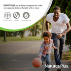 NaturesPlus Super B-50 - High Potency B Complex with Choline, Inositol & PABA - 90 Capsules