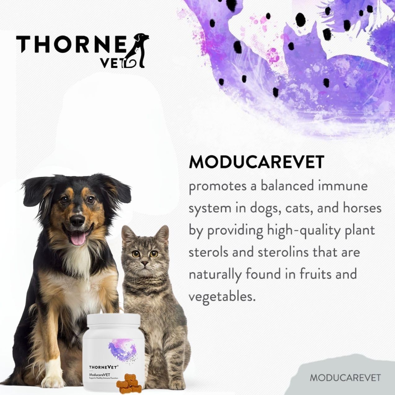 ThorneVet ModucareVET – Snacks Blandos con Esteroles Vegetales para el Apoyo Inmunológico de Perros, Gatos y Caballos, 90 uds.